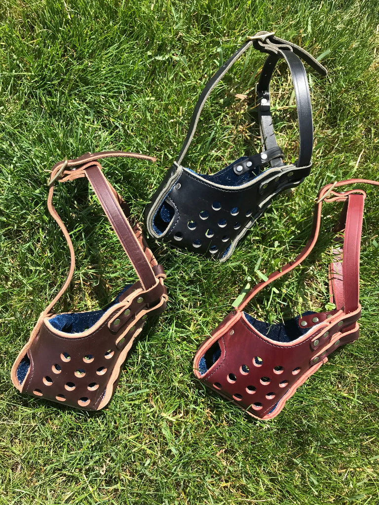 Measuring your dog for a leather muzzle!