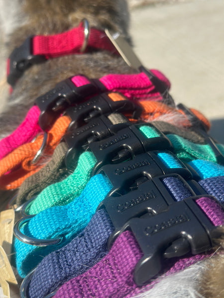 New Earth® Soy Adjustable Dog Collar - Main Image