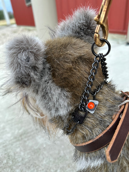 A Dog Prong How To Put On Sprenger Prong Collar Prong Collar Best