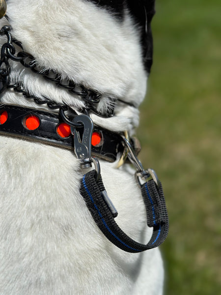 Herm Sprenger Prong Micro Mini Prong Collar How To Use Herm