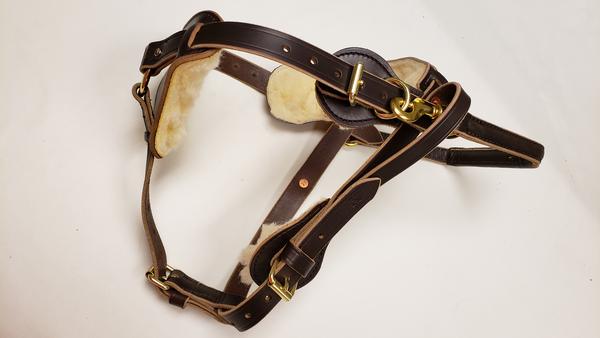 Leather Y-Front Guide Harness (Harness only) – Bridgeport K9 Equipment