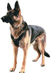 Agitation Harness