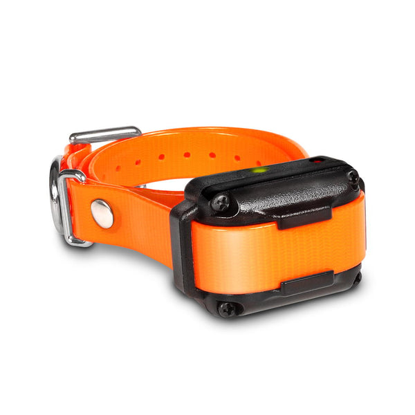 Dogtra IQ Plus Additional Collar