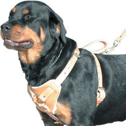 Get Leather Dog Tracking Harness