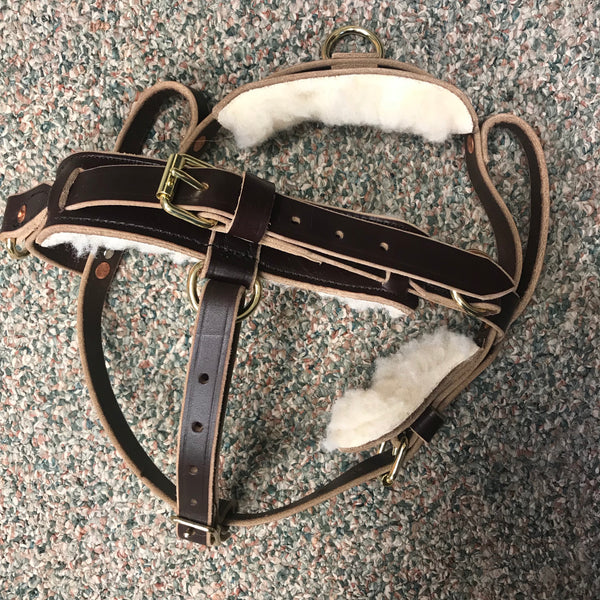 Imperfect Guide Harness (Y-front or straight front)