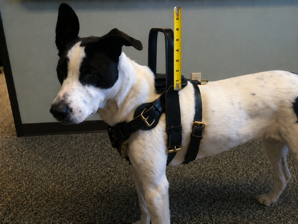 Harness Tips and tricks!