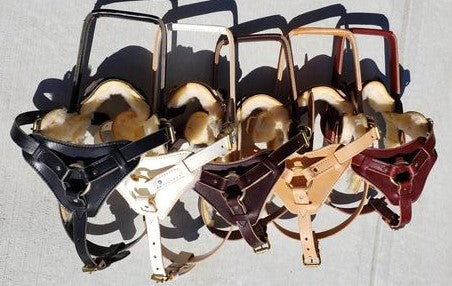 Harness care and fit