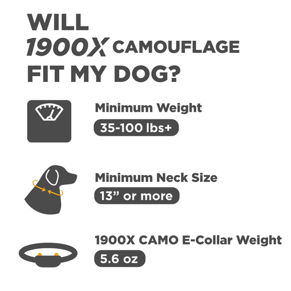 Dogtra 1900X Camo Edition