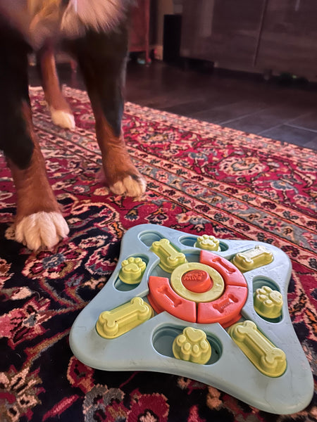 Nice Paws Slide N Squeak