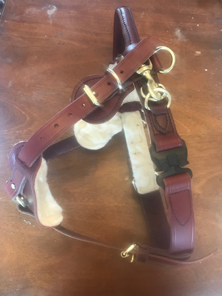 GT COBRA™ buckle- CUSTOMIZE your HARNESS