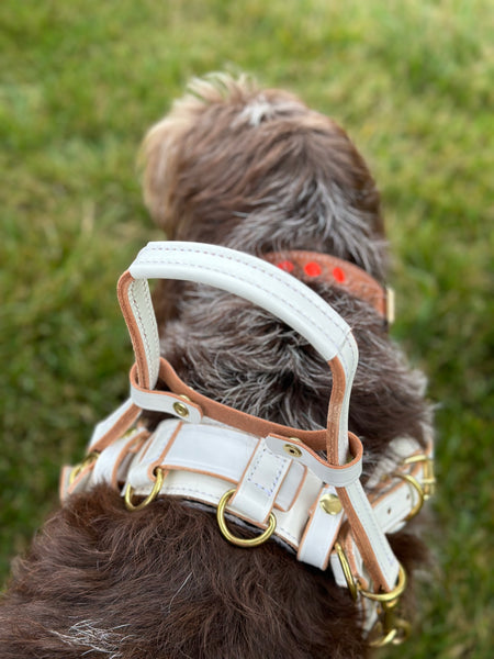 Counter Balance Harness with Velcro for Interchangeable Padding