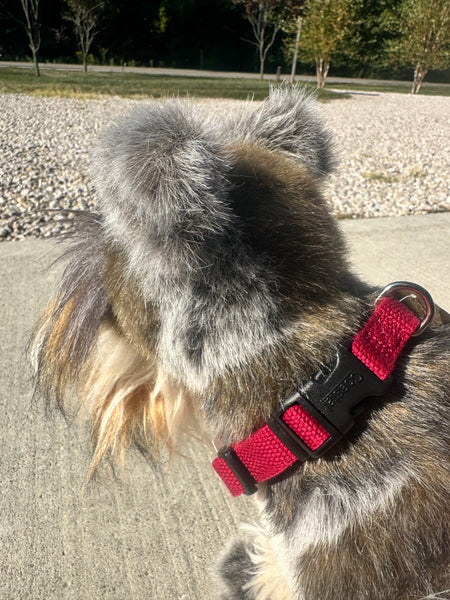 New Earth® Soy Adjustable Dog Collar