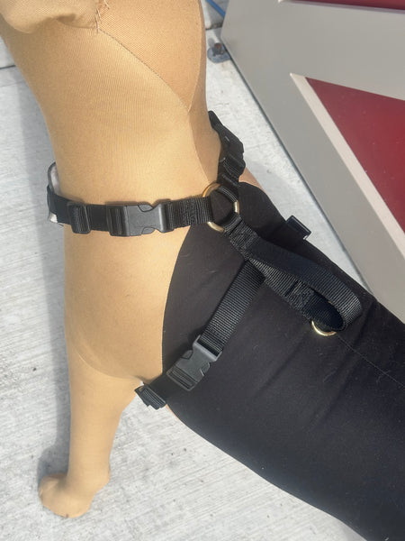 Lightweight Nylon and Leather Utility Harness
