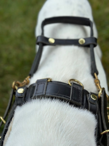 Counter Balance Harness with Velcro for Interchangeable Padding