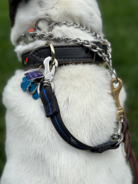 Herm Sprenger - Collar de punta de 25 pulgadas de largo para cuellos de hasta 22 pulgadas, acero Herm Sprenger - Collar de punta de 25 pulgadas de largo para cuellos de hasta 22 pulgadas, acero