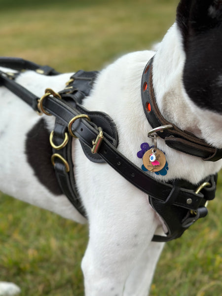 Counter Balance Harness with Velcro for Interchangeable Padding