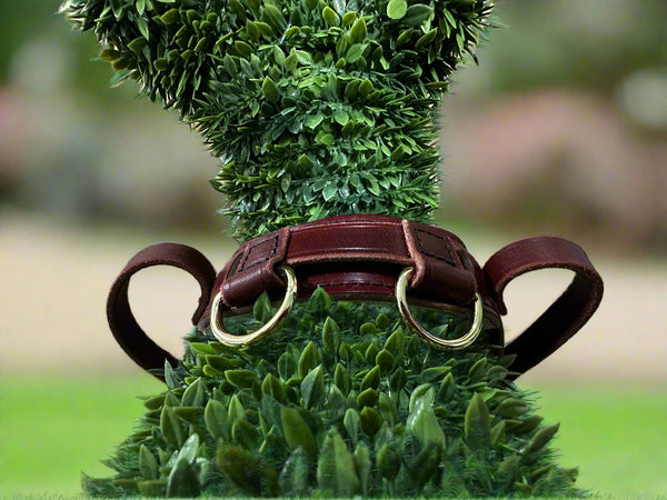 Topiary dog wearing a straight front guide harness, view from the top