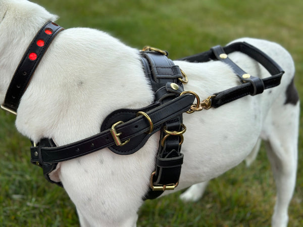 Counter Balance Harness with Velcro for Interchangeable Padding