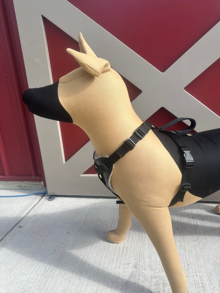 Lightweight Nylon and Leather Utility Harness