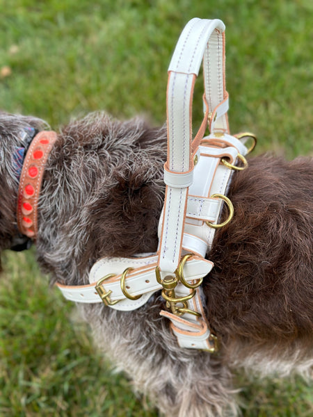 Counter Balance Harness with Velcro for Interchangeable Padding