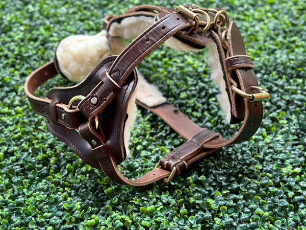 Counter Balance Harness (Handle Sold Separately)