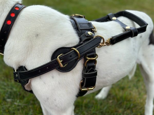 Counter Balance Harness (Handle Sold Separately)