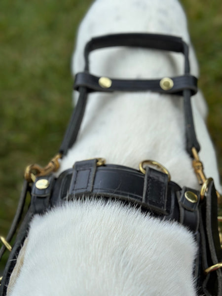 Counter Balance Harness (Handle Sold Separately)