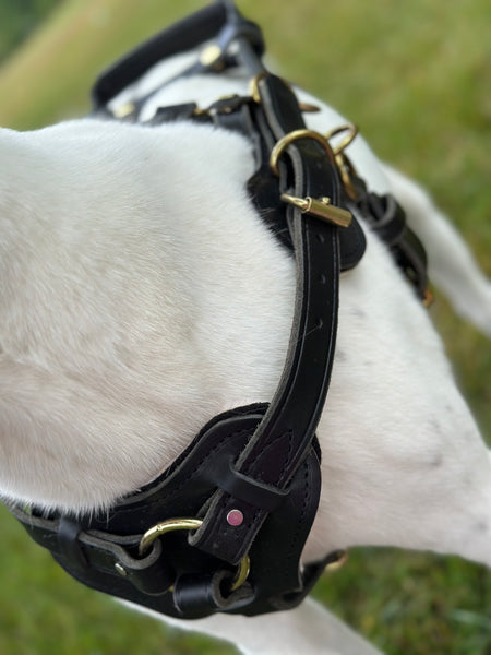Counter Balance Harness (Handle Sold Separately)