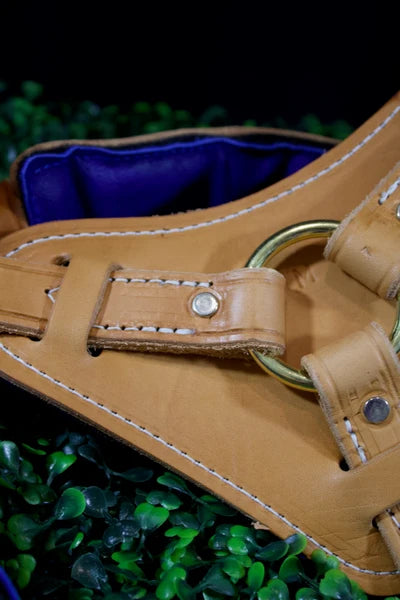 Interchangeable harness padding