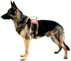 Leather Assistance Harness (discontinued product)