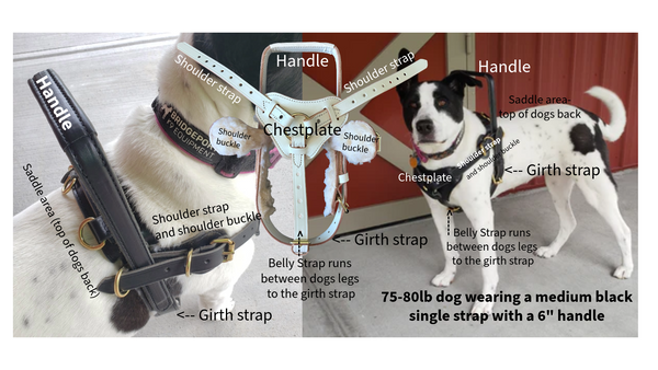 Single Strap Support Harness