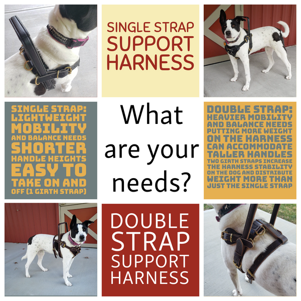 Double Strap Support Harness