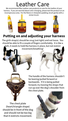Leather Care Tips and Harness fitting guide