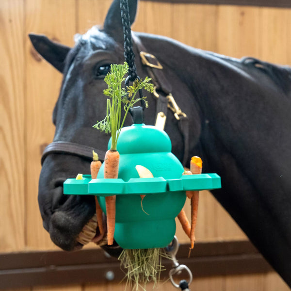 PetKore Clover Toy
