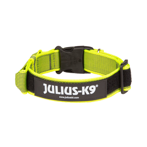 Julius K9 Color and Gray Collection Bridgeport K9 Equipment