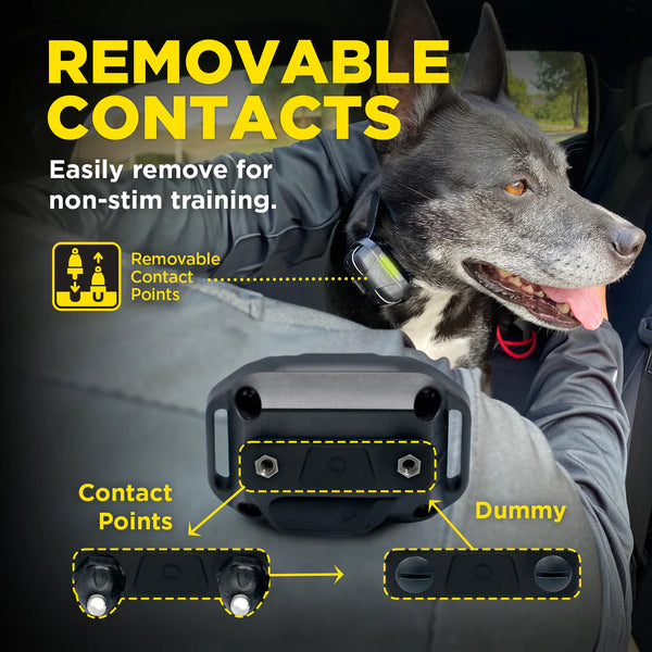 Dogtra 280X – Bridgeport K9 Equipment Dogtra 280X – Bridgeport K9 Equipment
