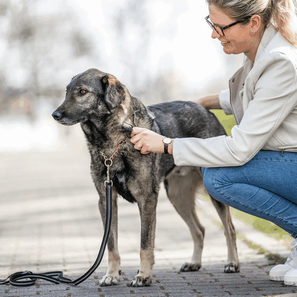 Herm Sprenger Dog Rake