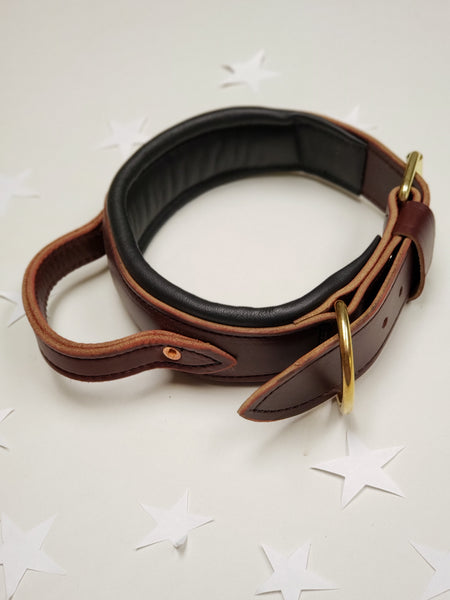 Padded Leather Collar with Flexible handle (SPECIAL ORDER!)