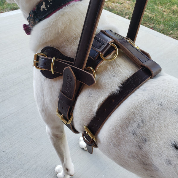Harness for Service Dogs - Taxco Collars & Leashes