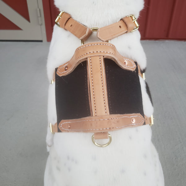 2.5" Raised Handle Assistance Harness with Velcro
