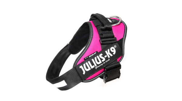 Julius-K9 IDC Powerharness – Bridgeport K9 Equipment