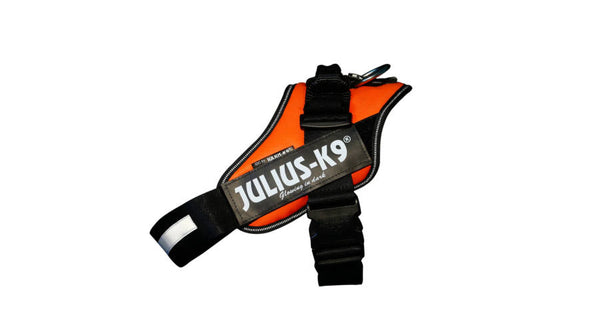 Julius-K9 IDC Powerharness – Bridgeport K9 Equipment
