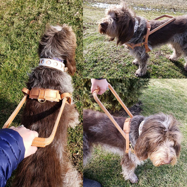 Guide Harness Straight Front Guide Harness (Handle sold separately) – Bridgeport K9 ...