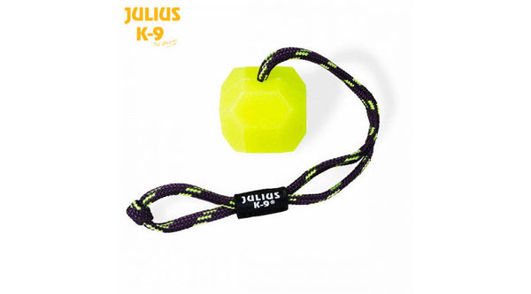 JULIUS-K9 IDC® BALL - Neon (FLUORESCENT) - SOFT