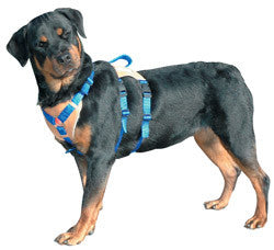 Nylon Assistance Harness (Discontinued style)