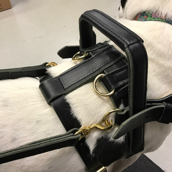 Custom Support Harness (takes 4-8 weeks to ship)